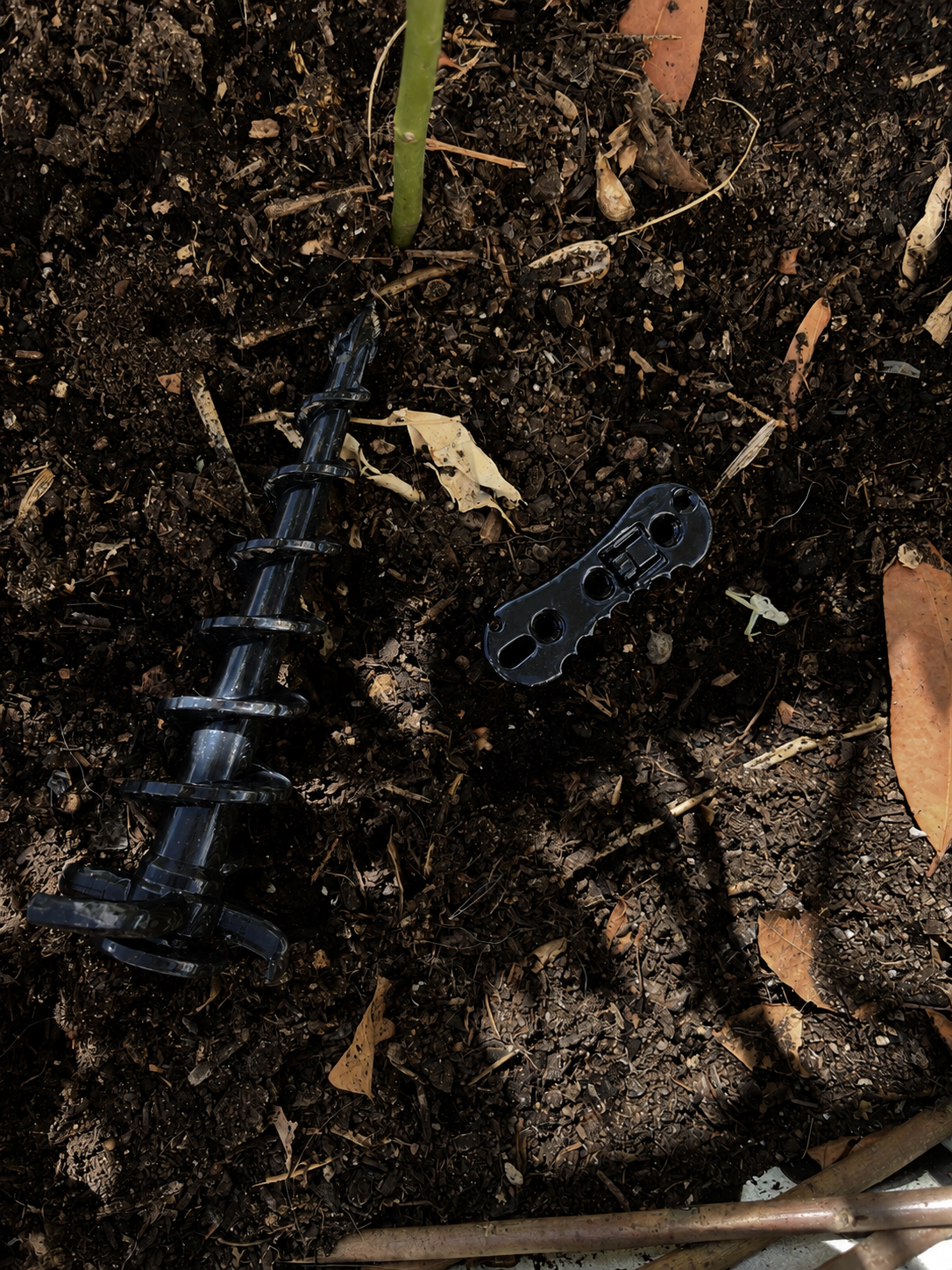 An EACAMPSY screw peg in rock